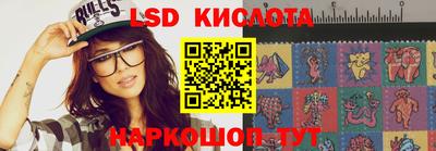 дмт Кингисепп