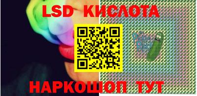 дмт Кингисепп