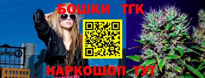 дмт Кингисепп