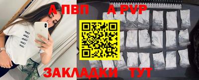 дмт Кингисепп