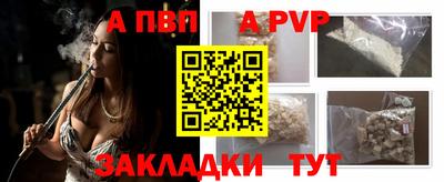 дмт Кингисепп