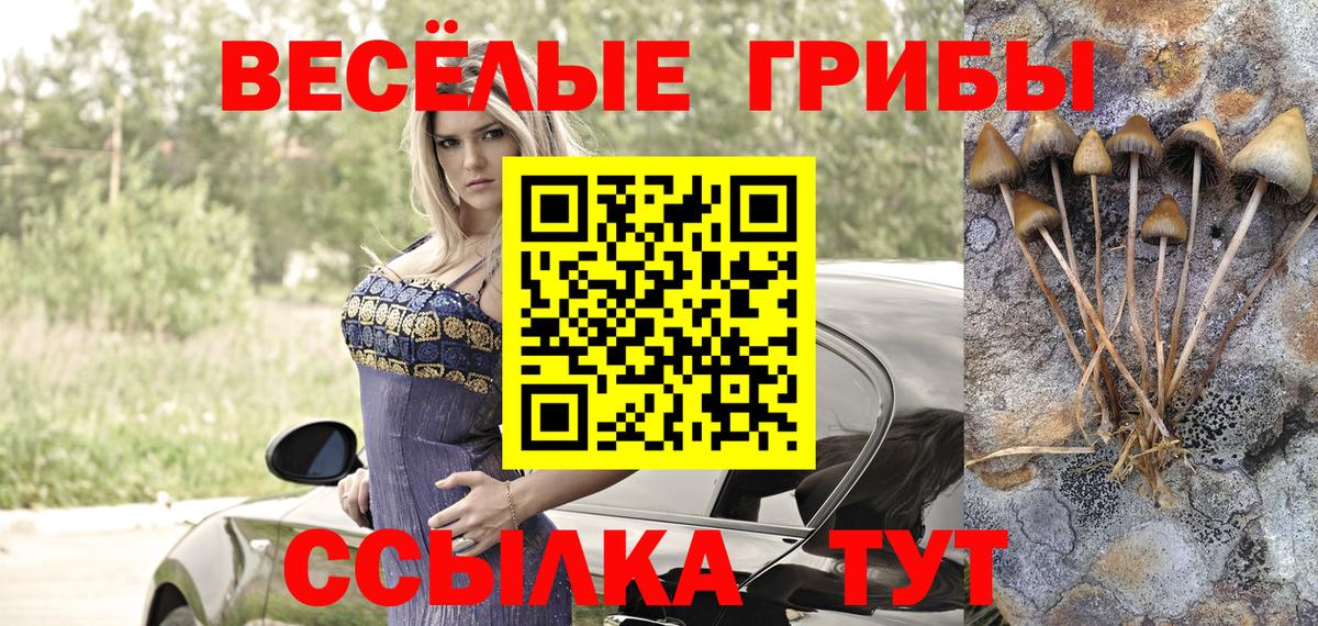 Псилоцибиновые грибы MAGIC MUSHROOMS  Вход с VPN  Кудрово 